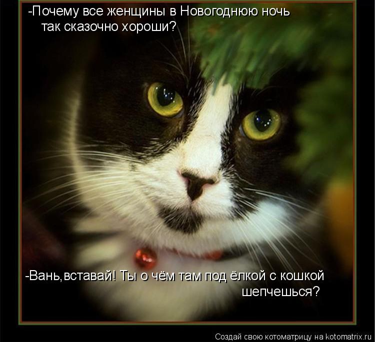Котоматрица: так сказочно хороши? -Почему все женщины в Новогоднюю ночь -Вань,вставай! Ты о чём там под ёлкой с кошкой  шепчешься?