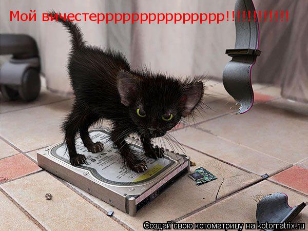 Мой вичестеррррррррррррррр!!!!!!!!!!!!... Котоматрица: Мой вичестеррррррррррррррр!!!!!!!!!!!!