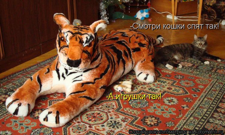 -Смотри кошки спят так! -А игрушки так!... Котоматрица: -Смотри кошки спят так! -А игрушки так!