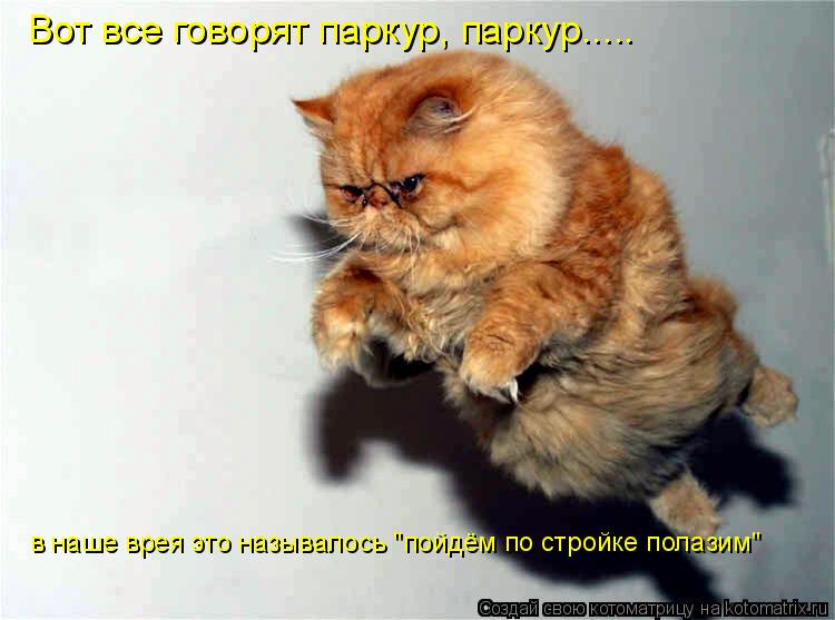 Котоматрица: Вот все говорят паркур, паркур.....  в наше врея это называлось "пойдём по стройке полазим"