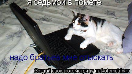 я седьмой в помёте надо братьев мне отыскать... Котоматрица: я седьмой в помёте надо братьев мне отыскать