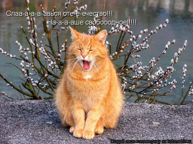 Слаа-а-а-а-авься оте-е-ечество!!! На-а-а-аше свобооодное!!!!!... Котоматрица: Слаа-а-а-а-авься оте-е-ечество!!! На-а-а-аше свобооодное!!!!!