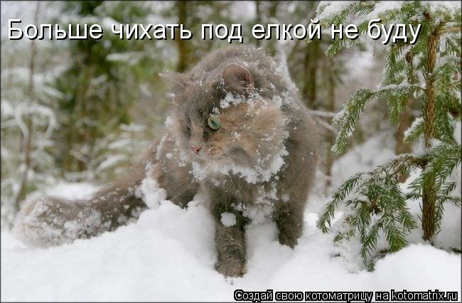 Котоматрица: Больше чихать под елкой не буду