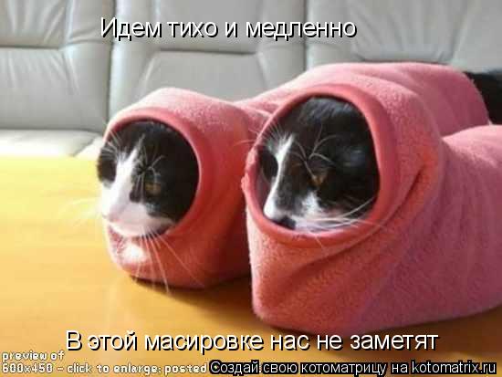 Идем тихо и медленно В этой масировке нас не заметят... Котоматрица: Идем тихо и медленно В этой масировке нас не заметят
