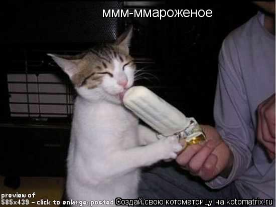 ммм-ммароженое... Котоматрица: ммм-ммароженое