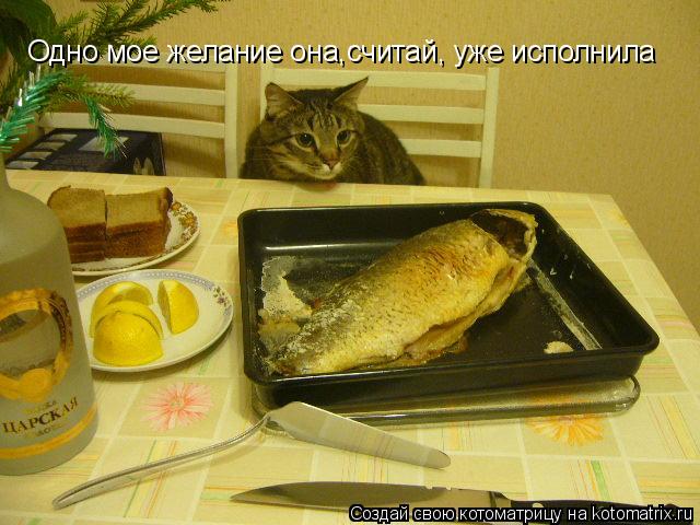Одно мое желание она,считай, уже исполнила... Котоматрица: Одно мое желание она,считай, уже исполнила