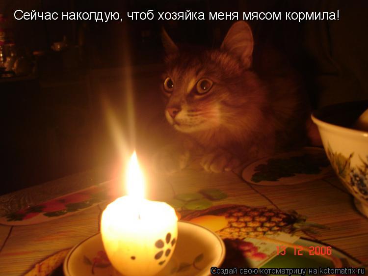 Сейчас наколдую, чтоб хозяйка меня мясом кормила!... Котоматрица: Сейчас наколдую, чтоб хозяйка меня мясом кормила!