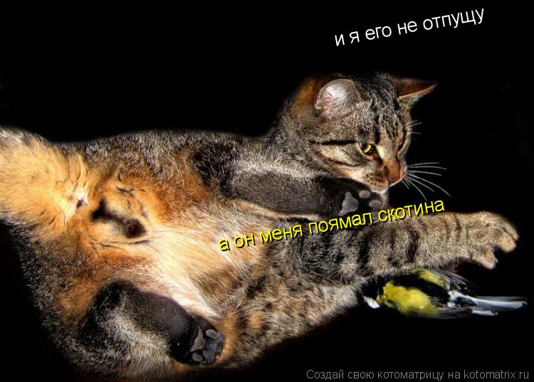 а он меня поямал скотина а он меня поямал скотина и я его не отпущу... Котоматрица: а он меня поямал скотина а он меня поямал скотина и я его не отпущу