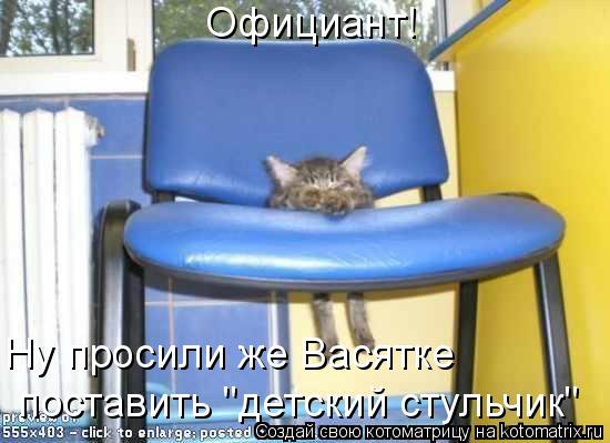 Официант! Ну просили же Васятке поставить "детский стульчик"... Котоматрица: Официант! Ну просили же Васятке поставить "детский стульчик"