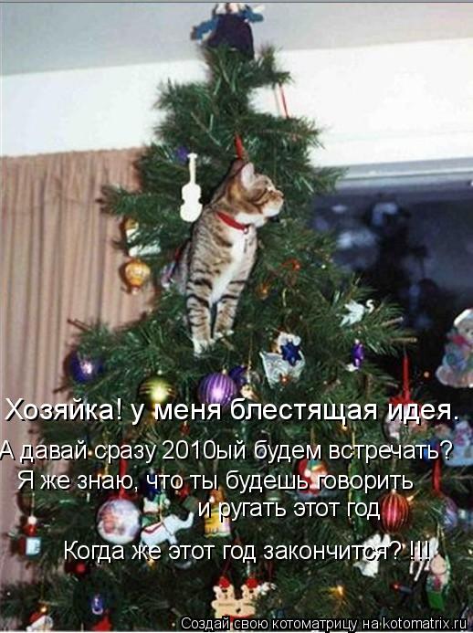 Котоматрица: Хозяйка! у меня блестящая идея. А давай сразу 2010ый будем встречать? Я же знаю, что ты будешь говорить  и ругать этот год Когда же этот год зако