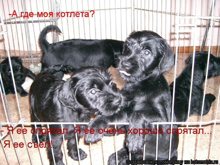 Котоматрица: -А где моя котлета? - Я ее спрятал. Я ее очень хорошо спрятал... Я ее съел!