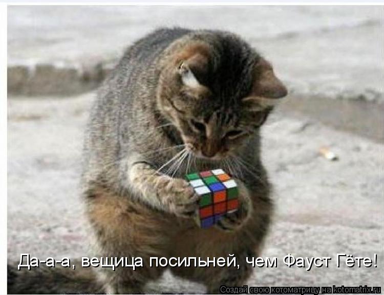 Да-а-а, вещица посильней, чем Фауст Гёте!... Котоматрица: Да-а-а, вещица посильней, чем Фауст Гёте!