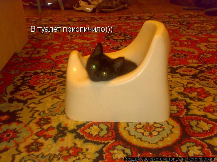 В туалет приспичило)))... Котоматрица: В туалет приспичило)))