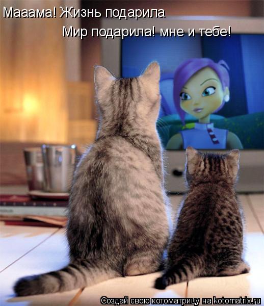 Мааама! Жизнь подарила Мир подарила! мне и тебе!... Котоматрица: Мааама! Жизнь подарила Мир подарила! мне и тебе!