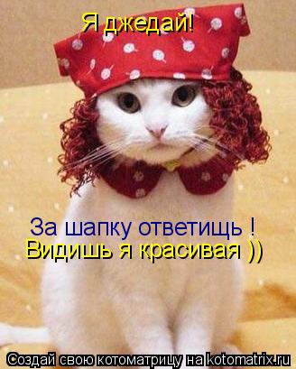 За шапку ответищь ! Я джедай! Видишь я красивая ))... Котоматрица: За шапку ответищь ! Я джедай! Видишь я красивая ))