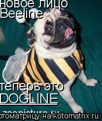 новое лицо теперь это DOGLINE ________ Beeline... Котоматрица: новое лицо теперь это DOGLINE ________ Beeline