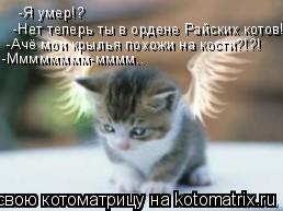 -Я умер!? -Нет теперь ты в ордене Райских котов! -Ачё мои крылья похожи на кости?!?! -Мммммммм-мммм.... Котоматрица: -Я умер!? -Нет теперь ты в ордене Райских котов! -Ачё мои крылья похожи на кости?!?! -Мммммммм-мммм..