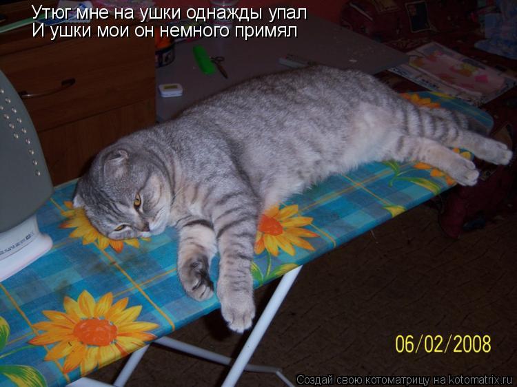 Котоматрица: Утюг мне на ушки однажды упал И ушки мои он немного примял