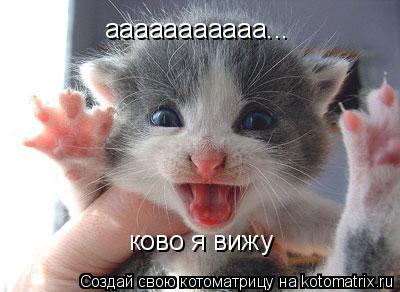 ааааааааааа... ково я вижу... Котоматрица: ааааааааааа... ково я вижу
