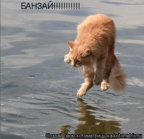 Котоматрица: БАНЗАЙ!!!!!!!!!!!