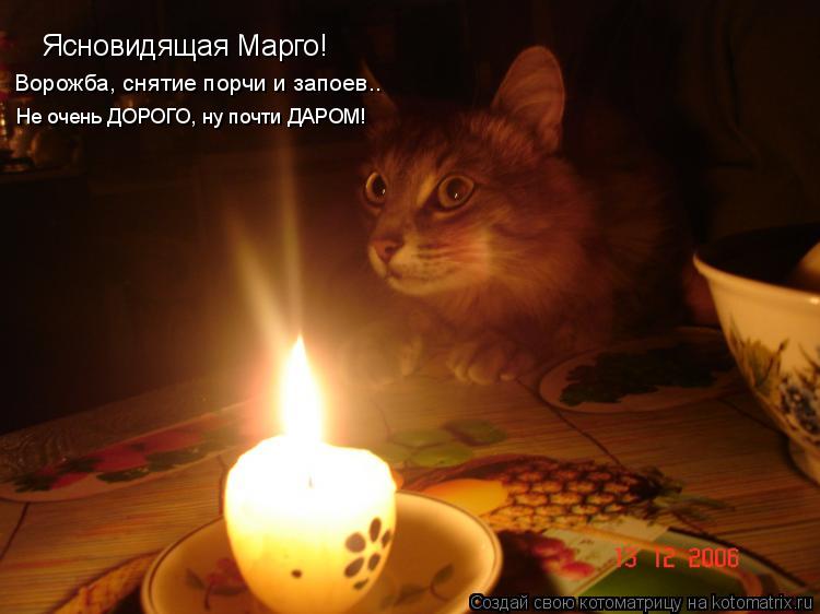 Котоматрица: Ясновидящая Марго! Ворожба, снятие порчи и запоев.. Не очень ДОРОГО, ну почти ДАРОМ!