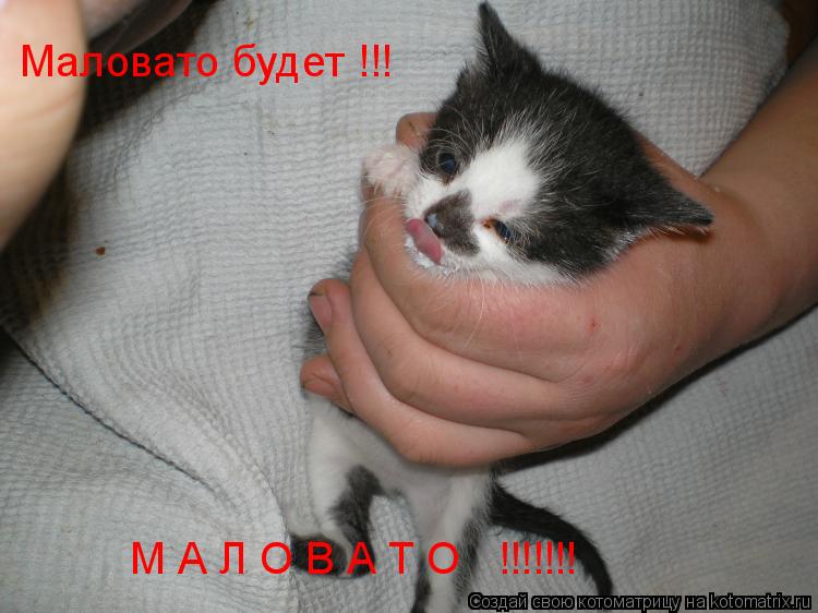 Маловато будет !!! М А Л О В А Т О !!!!!!!... Котоматрица: Маловато будет !!! М А Л О В А Т О !!!!!!!