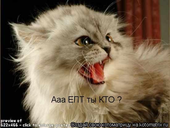 Ааа ЕПТ ты КТО ?... Котоматрица: Ааа ЕПТ ты КТО ?