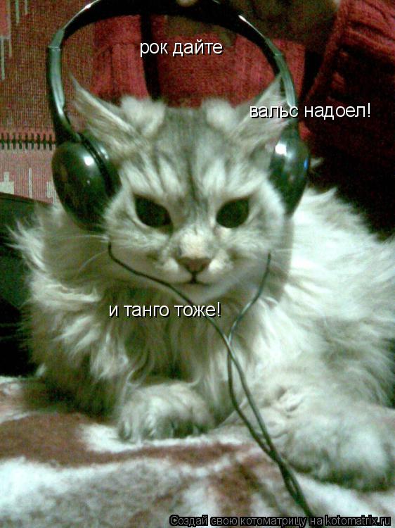 Котоматрица: рок дайте  вальс надоел! и танго тоже!