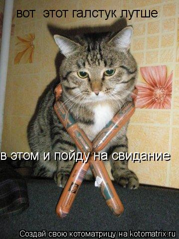 вот этот галстук лутше в этом и пойду на свидание... Котоматрица: вот этот галстук лутше в этом и пойду на свидание