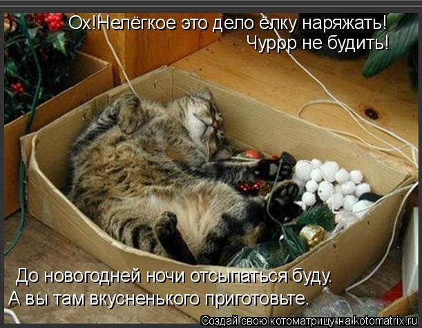 Котоматрица: Ох!Нелёгкое это дело ёлку наряжать! Чуррр не будить! До новогодней ночи отсыпаться буду. А вы там вкусненького приготовьте.