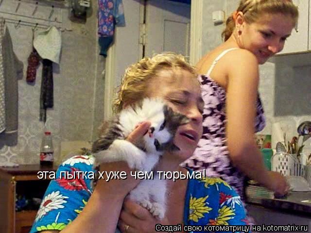 Котоматрица: эта пытка хуже чем тюрьма!