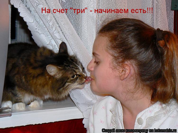 Котоматрица: На счет "три" - начинаем есть!!!