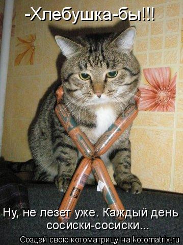 -Хлебушка-бы!!! Ну, не лезет уже. Каждый день сосиски-сосиски...... Котоматрица: -Хлебушка-бы!!! Ну, не лезет уже. Каждый день сосиски-сосиски...
