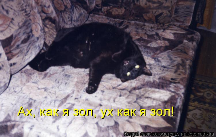 Котоматрица: Ах, как я зол, ух как я зол!