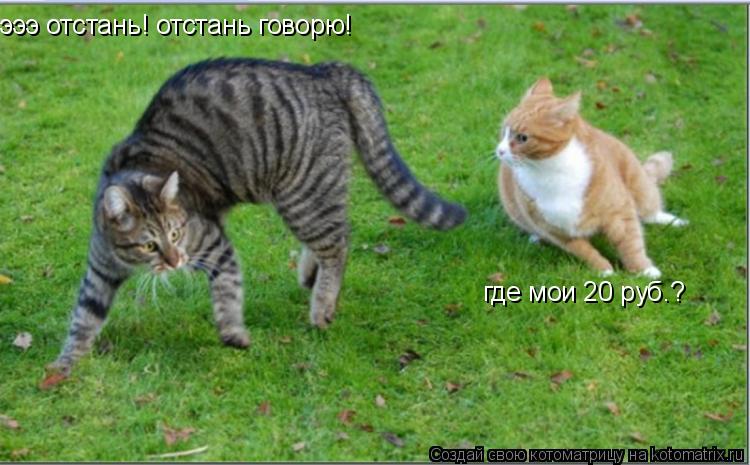 Котоматрица: эээ отстань! отстань говорю! где мои 20 руб.?