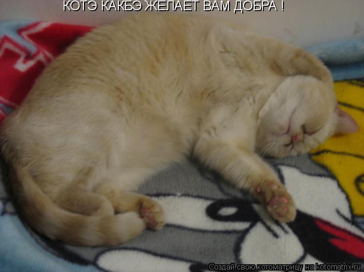 КОТЭ КАКБ КОТЭ КАКБЭ ЖЕЛАЕТ ВАМ ДОБРА !... Котоматрица: КОТЭ КАКБ КОТЭ КАКБЭ ЖЕЛАЕТ ВАМ ДОБРА !