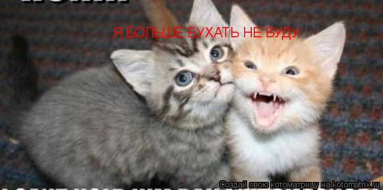 Котоматрица: Я БОЛЬШЕ БУХАТЬ НЕ БУДУ
