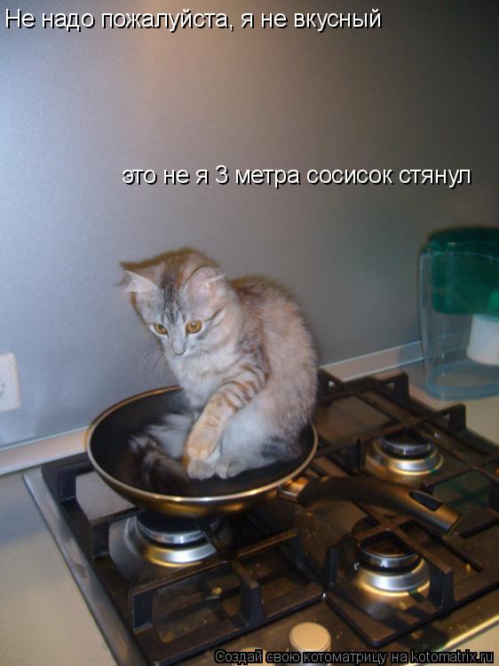Не надо пожалуйста, я не вкусный это не я 3 метра сосисок стянул... Котоматрица: Не надо пожалуйста, я не вкусный это не я 3 метра сосисок стянул