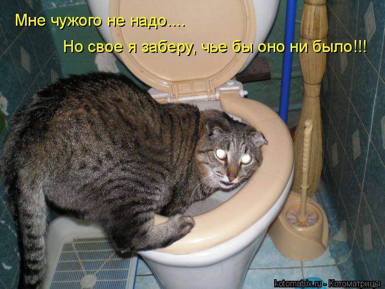 Котоматрица: Мне чужого не надо.... Но свое я заберу, чье бы оно ни было!!!
