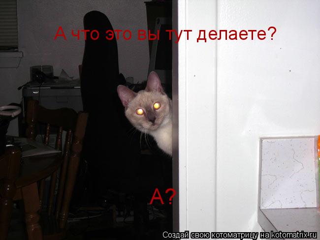А что это вы тут делаете? А?... Котоматрица: А что это вы тут делаете? А?