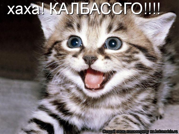 хаха! КАЛБАССГО!!!!... Котоматрица: хаха! КАЛБАССГО!!!!