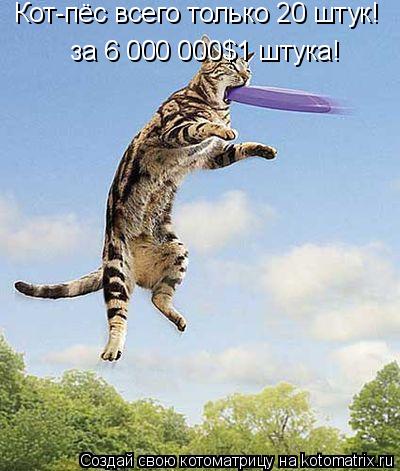 Кот-пёс всего только 20 штук! за 6 000 000$1 штука!... Котоматрица: Кот-пёс всего только 20 штук! за 6 000 000$1 штука!