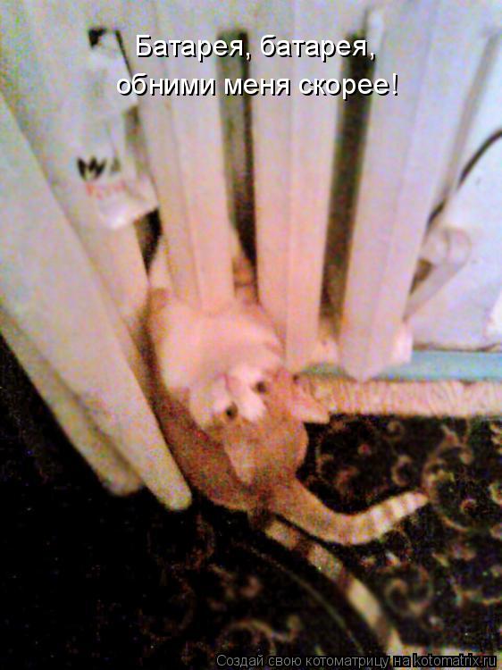 Котоматрица: Батарея, батарея, обними меня скорее!