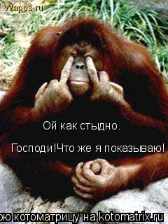 Котоматрица: Господи!Что же я показываю!  Ой как стыдно.