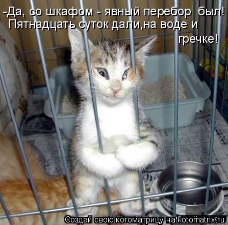 Котоматрица: -Да, со шкафом - явный перебор  был! Пятнадцать суток дали,на воде и гречке!