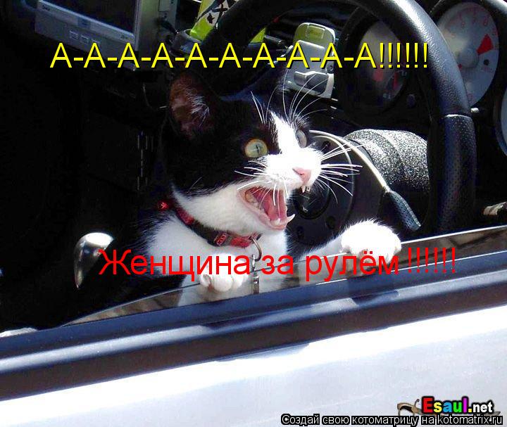Женщина за рулём А-А-А-А-А-А-А-А-А-А!!!!!! !!!!!!... Котоматрица: Женщина за рулём А-А-А-А-А-А-А-А-А-А!!!!!! !!!!!!