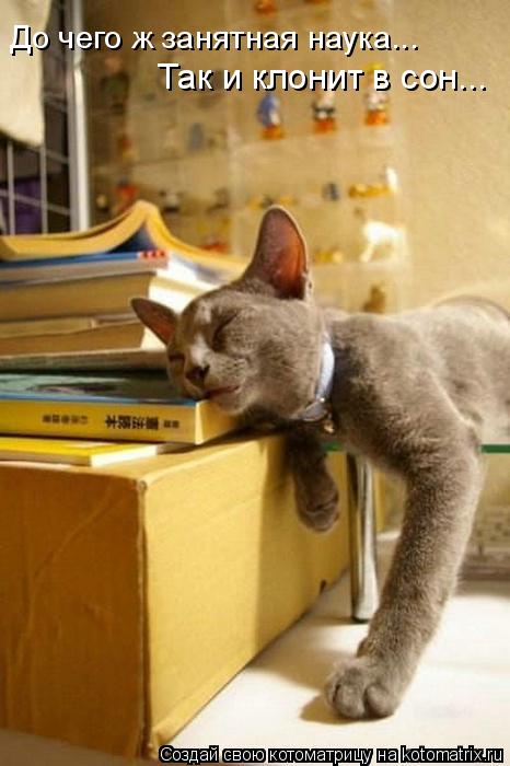 До чего ж занятная наука... Так и клонит в сон...... Котоматрица: До чего ж занятная наука... Так и клонит в сон...