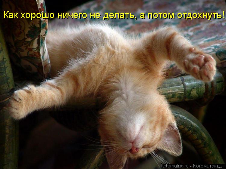 Котоматрица: Как хорошо ничего не делать, а потом отдохнуть!