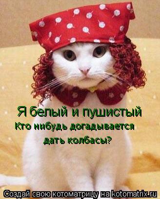 Я белый и пушистый Кто нибудь догадывается дать колбасы?... Котоматрица: Я белый и пушистый Кто нибудь догадывается дать колбасы?