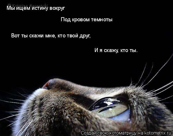 Мы ищем истину вокруг Под кровом темноты Вот ты скажи мне, кто твой друг, И я скажу, кто ты.... Котоматрица: Мы ищем истину вокруг Под кровом темноты Вот ты скажи мне, кто твой друг, И я скажу, кто ты.